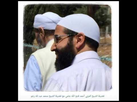 حضرة شاذلية متى القلب الشجي المضنى لمغناكم يعود