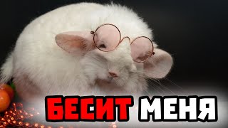 :       ?