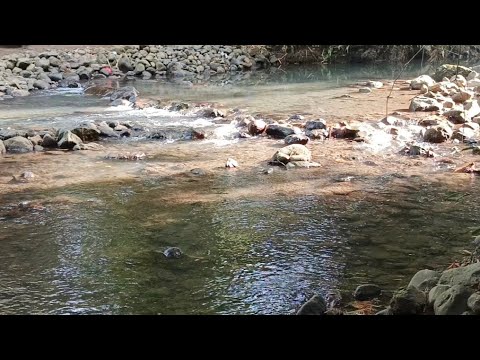 LUAC SAPA IN TORIL DAVAO CITY | ADELFA ARGAL MIX TV