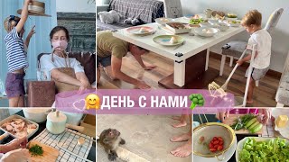 🥦День С Нами🧺Обед Без Хлопот😆В Парикмахерскую Всей Семьей🦧Обезьяны Напугали