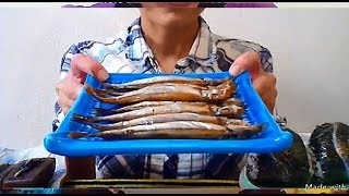 20171210 子持ちししゃも おにぎり こんにゃく 焼き鳥 食べるだけ 一人飯 飯枠 飯動画 Mukbang eating show