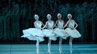 Swan Lake. White act