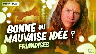 5 mythes sur la friandise pour les chiens ! | Laetitia Gonnon  Eduzen