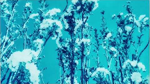 Laura Brehm & Nikonn - Stars Turn Blue