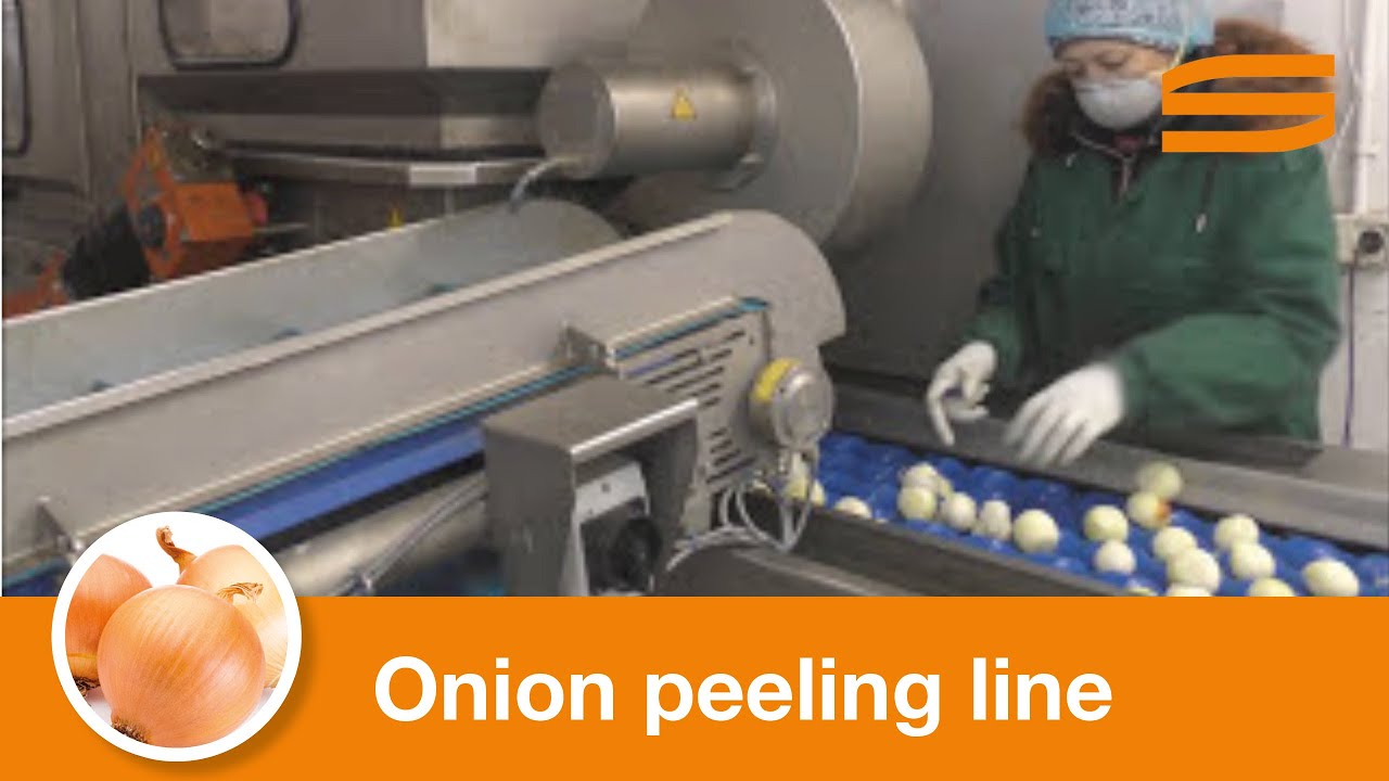 Zwiebelschällinie - Sormac