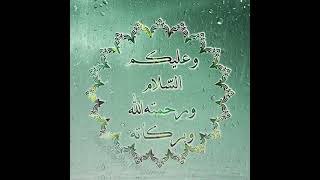 Wa Alaikum Assalam GIF | Subah Bakhair | Good Morning | Alhamdulillah