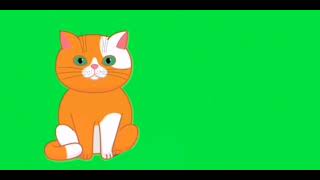 Green Screen Cat