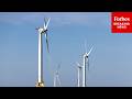 Warning—Environmental Disaster Is Looming Thanks To Alternative Energy Sources: Steve Forbes Mp3 Song