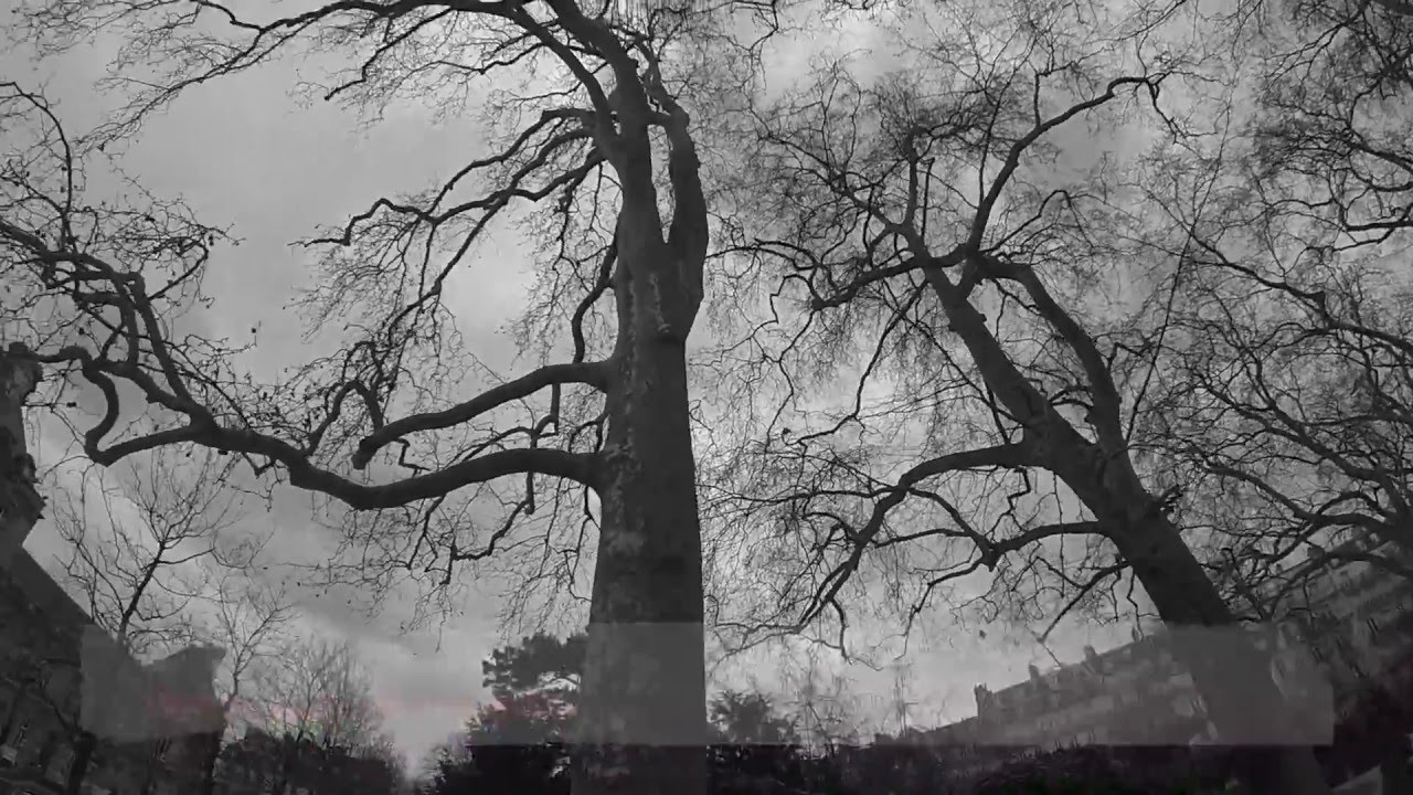 Paris by Martin - best tours in Paris - Luxembourg Gardens - Highlights & Offthebeatenpath