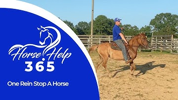 One Rein Stop A Horse | Horse Help - Michael Gascon