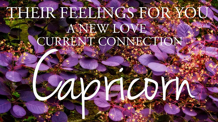 CAPRICORN love tarot ♑️ Someone Who Has Love For You & Will Choose You 💕 You Should Listen To This - DayDayNews