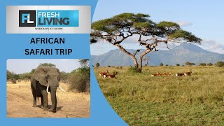 Explore Africa's Great Migration: The Trip of a Lifetime
