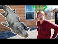 Lady Sees Alligator For The First Time!!!