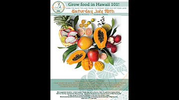 How to grow food in Hawaii 101!