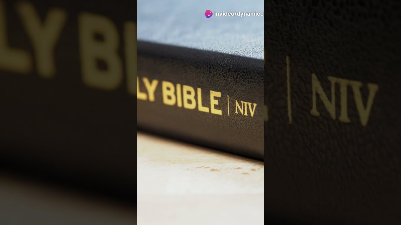 Top 5 Best Bible Translations Shorts