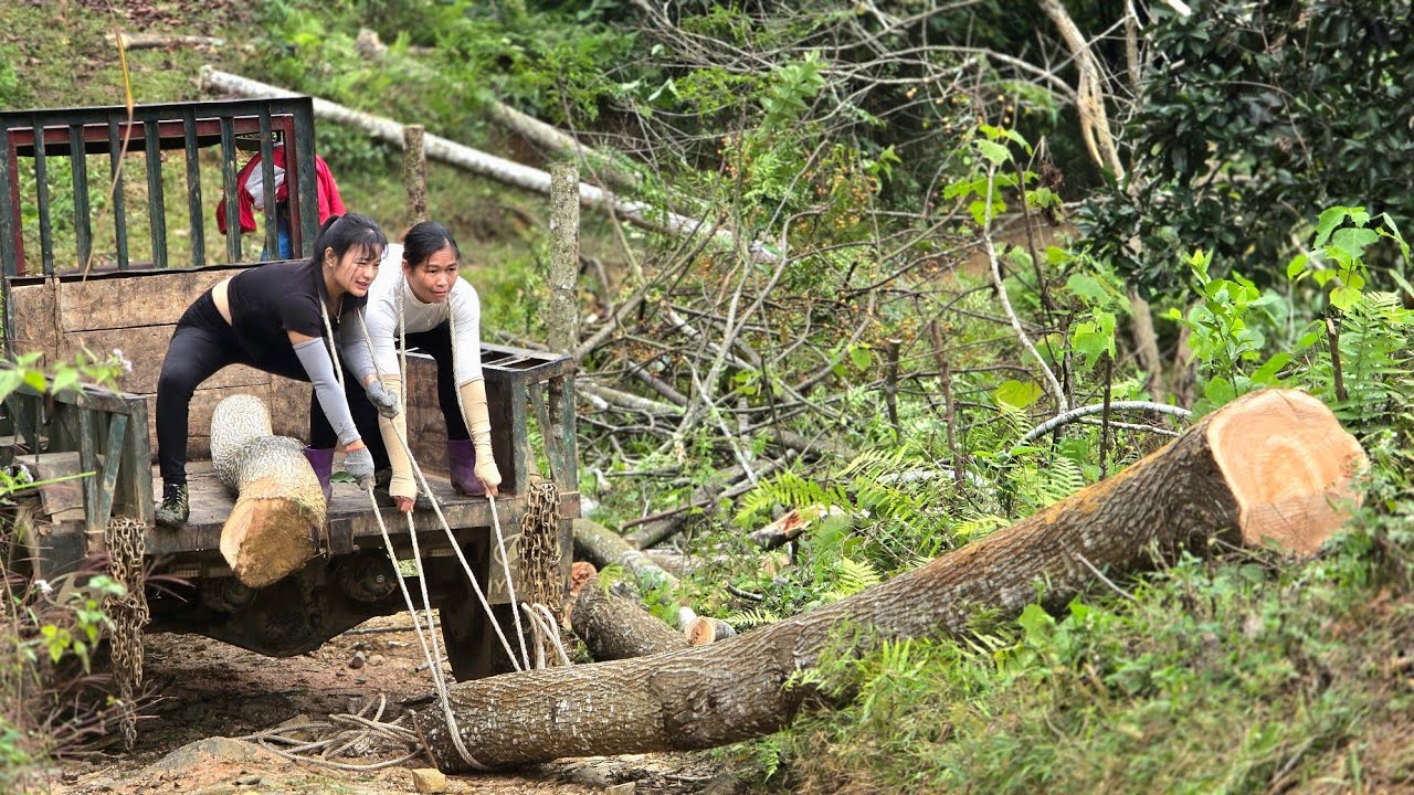 Agricultural vehicles.The sisters' new skills in transporting wood are truly remarkable.