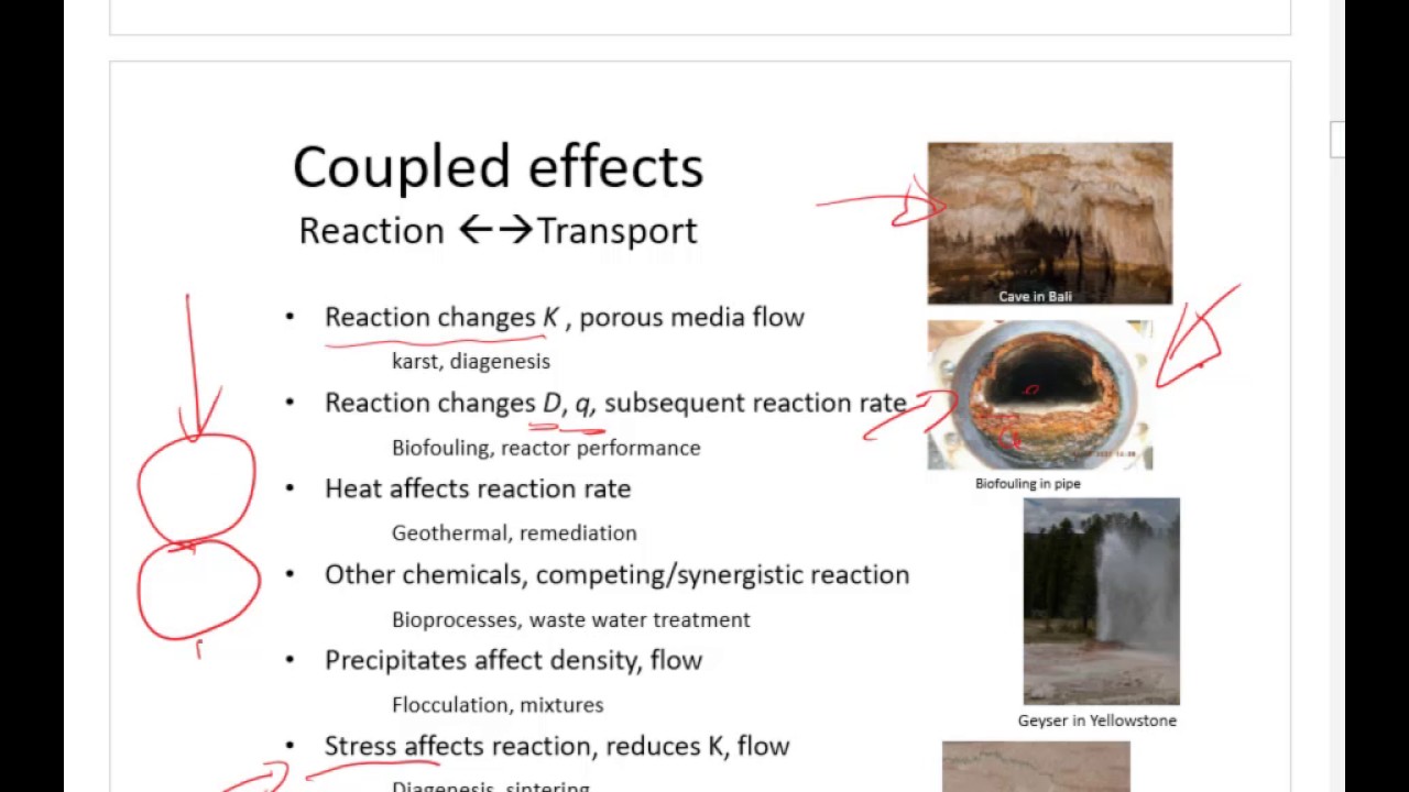 APS 9 Reactive Transport