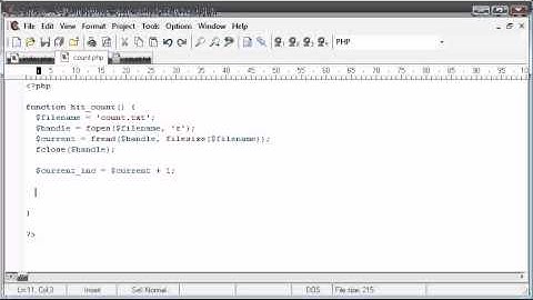 Beginner PHP Tutorial - 92 - Creating a non-unique Hit Counter