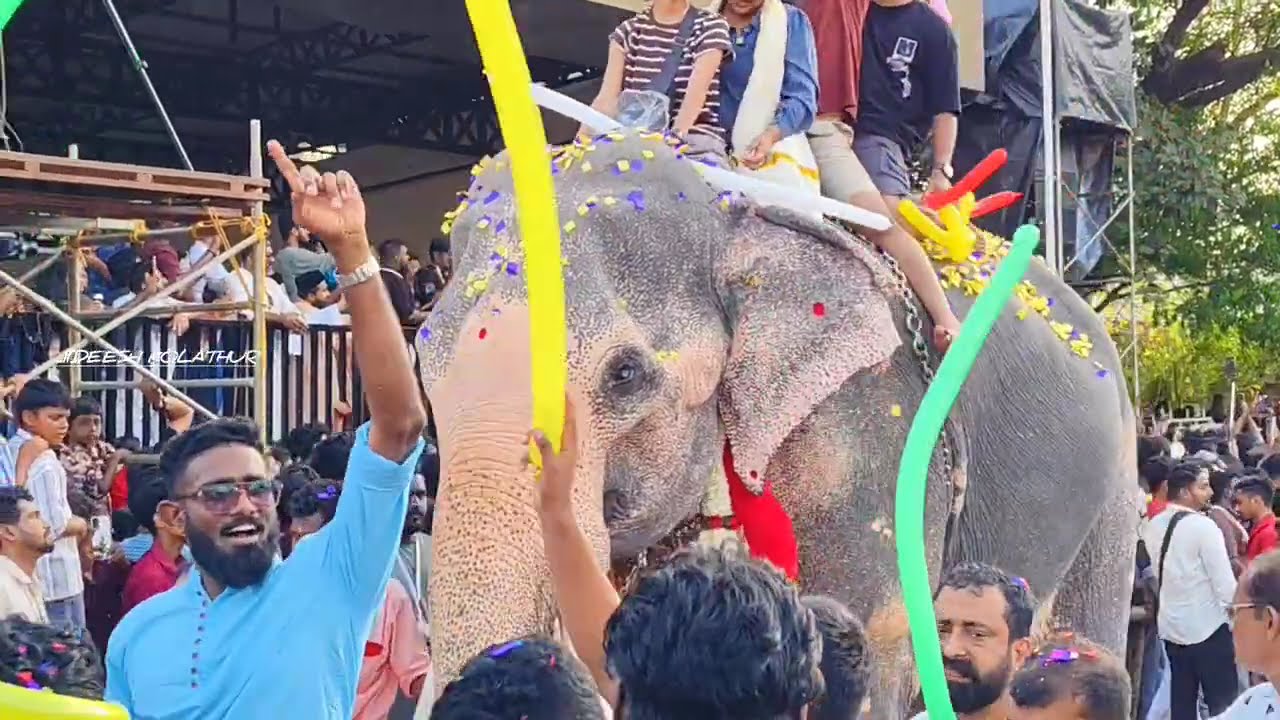 പഴഞ്ഞി പള്ളി പെരുന്നാൾ ഗജസംഗമം 2025 #pazhanji