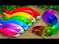 Stop Motion Cooking ASMR - 무지개 악어, 오리 새끼 Satisfying Catfish Carp Fishing Pink Eel | 재미있는 스톱 모션 만화