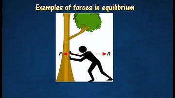 [2.9] Forces in equilibrium
