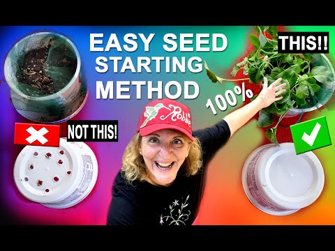 EASY No Mess Seed Starting for Fall Garden /ANY Planting Indoors Recycle Containers Vegetable Plants