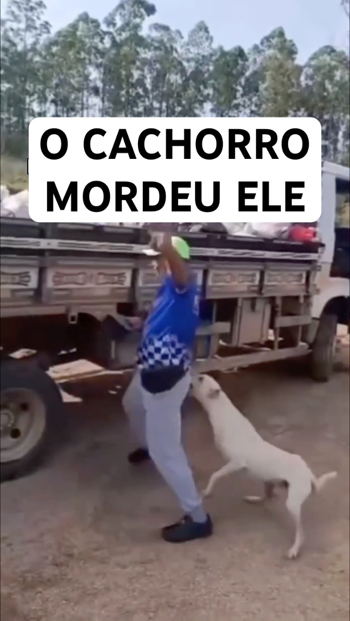 O CACHORRINHO MORDEU O HOMEM KKKKK #shorts