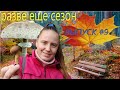 За грибами в Юрмалу / Грибы в конце октября / Латвия Балтия Прибалтика / Sēnes Jūrmalā oktobrī 4k