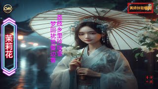 茉莉花 舒糯黃詩扶【動態歌詞】