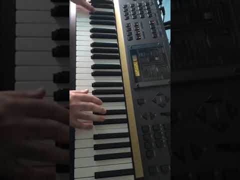 ワンピース 矢口 真里