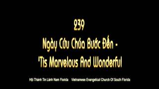 239 ngay cuu chua buoc den  'Tis Marvelous And Wonderful