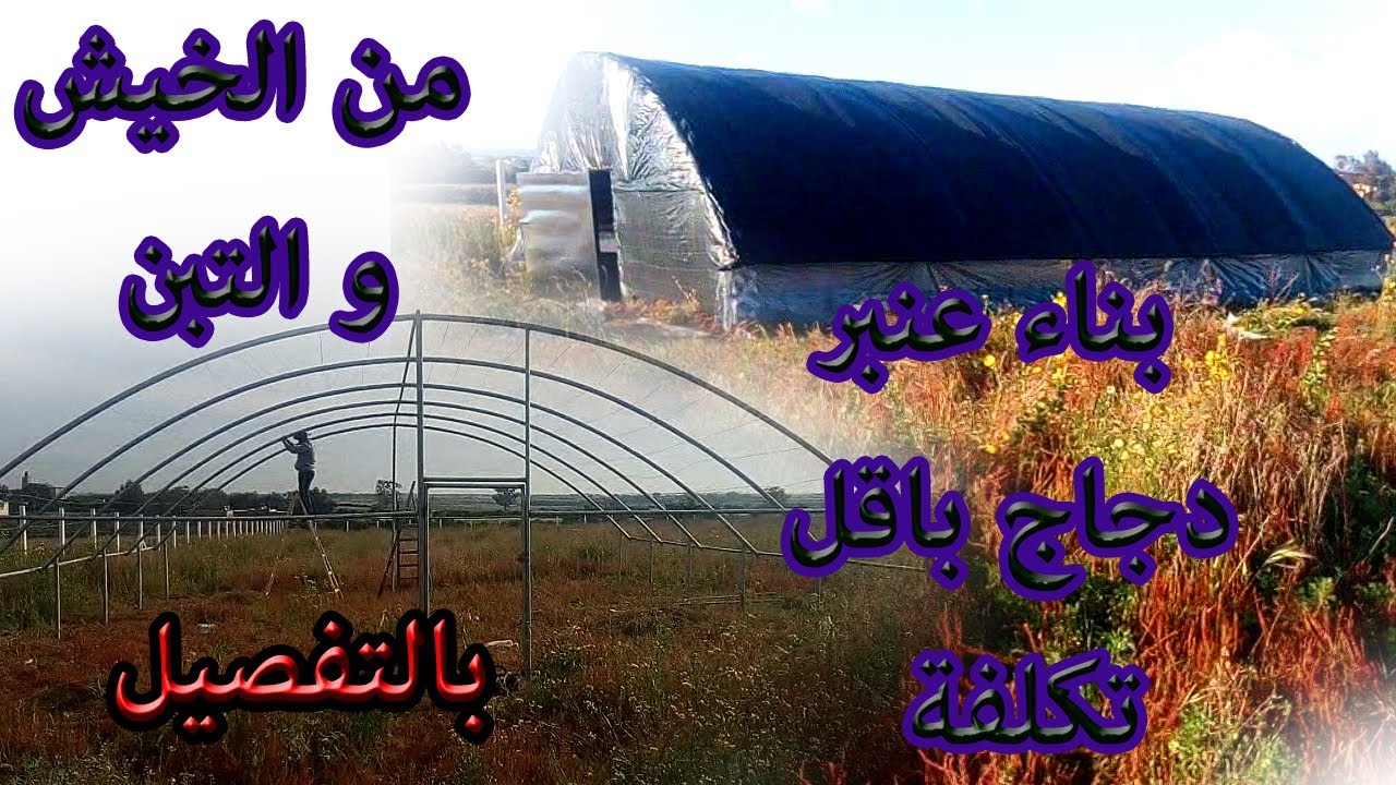 عنبر دجاج بارخص تكلفة ممكنة من الخيش و التبن 