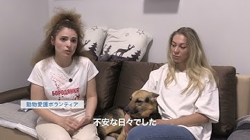 『犬と戦争　ウクライナで私が見たこと』予告編｜2月21日(金)公開