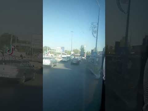 صامت لو تكلم