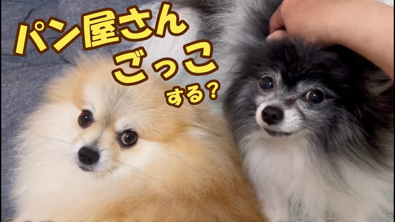 #95 嘘自己紹介動画【朝からパンを焼く丁寧な暮らし】