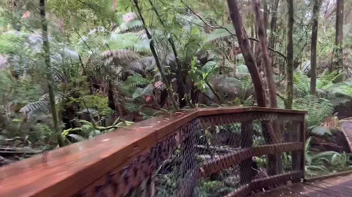 Sharing deep thoughts at Nelson Falls in Tassie