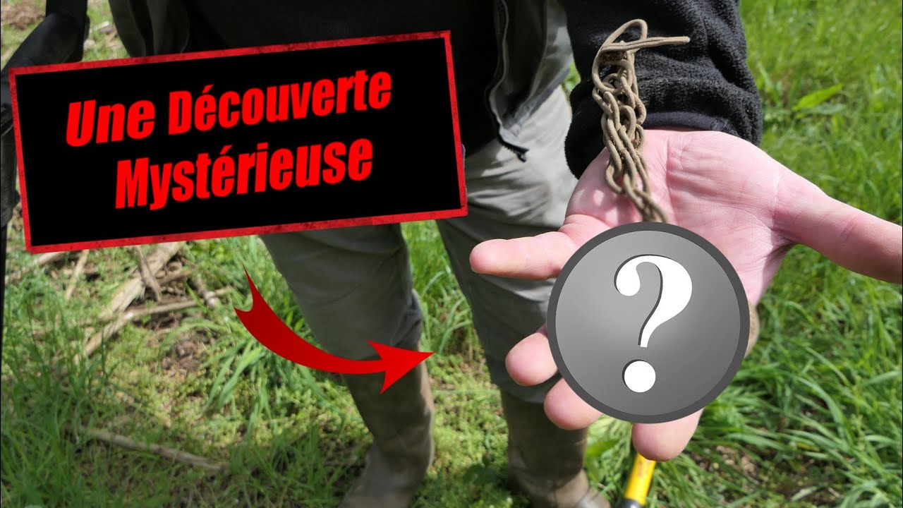 DÉTECTION, ON NE S'ATTENDAIT PAS À CETTE DÉCOUVERTE!!!