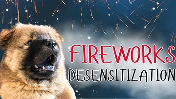 HELP YOUR DOG OVERCOME FEAR OF FIREWORKS | DOG TRAINING | SOUNDS FOR DOGS