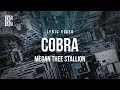 Megan Thee Stallion Cobra Lyrics 
