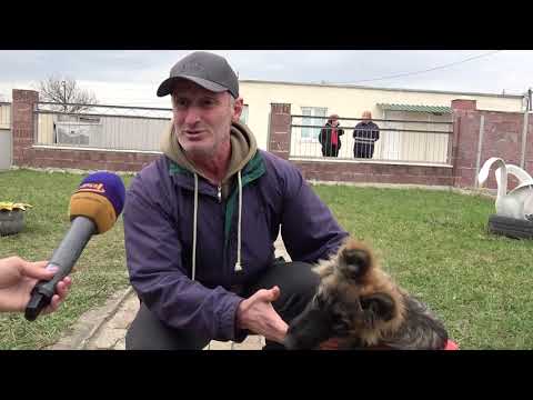 2019 წლიდან საქართველოს ყველა რეგიონში მიუსაფარ ძაღლთა თავშესაფარი აშენდება