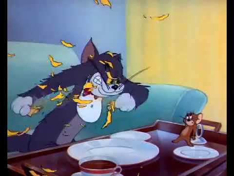 Tom & Jerry   Season 2   Episode 2 Part 3 of 3   The Million Dollar Cat