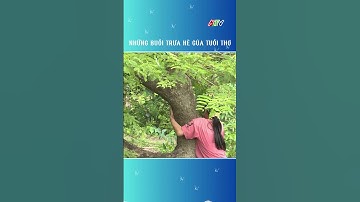 NHỚ NHỮNG BUỔI TRƯA HÈ CỦA TUỔI THƠ #SHORT