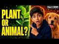 Plants vs Animals: The Classification System You Need to Know | Class 6