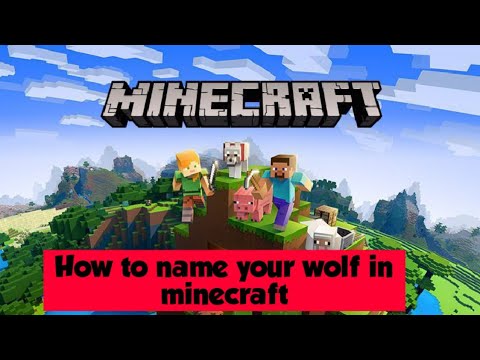 How to name your wolf (Minecraft) - YouTube