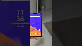 For Sale Asus Zenfone 5Z
