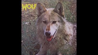 DARRYL WAY'S WOLF - CANIS - LUPUS - U. K. UNDERGROUND - 1973