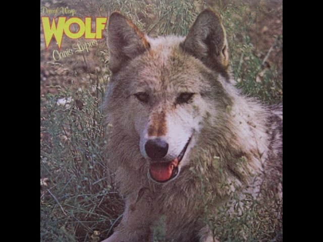 DARRYL WAY'S WOLF - CANIS - LUPUS - U. K. UNDERGROUND - 1973