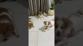 Full Video Link Below