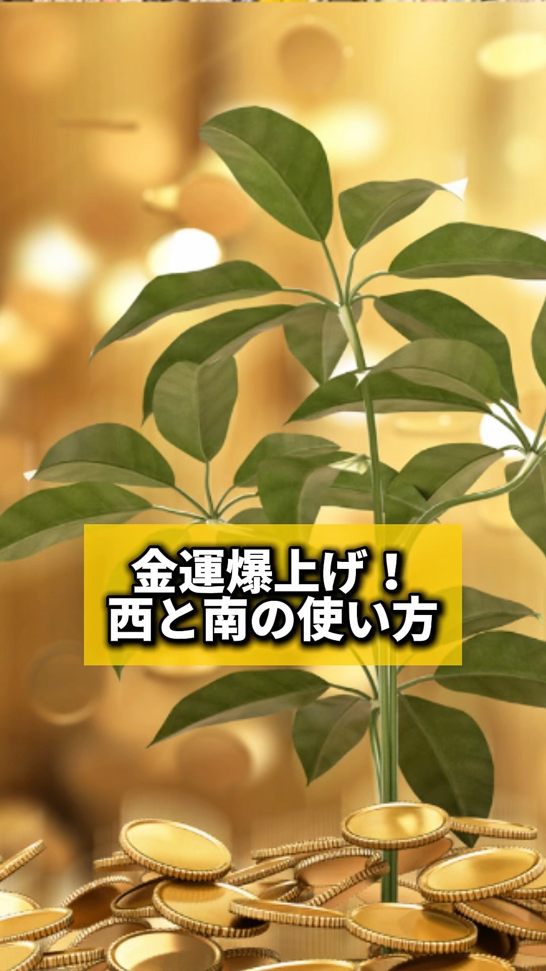 金運爆上げ！西と南の使い方#風水 #金運 #金運アップ #建築 #八納啓創