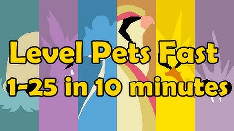 How I level my pets from 1 to 25 in 10 minutes